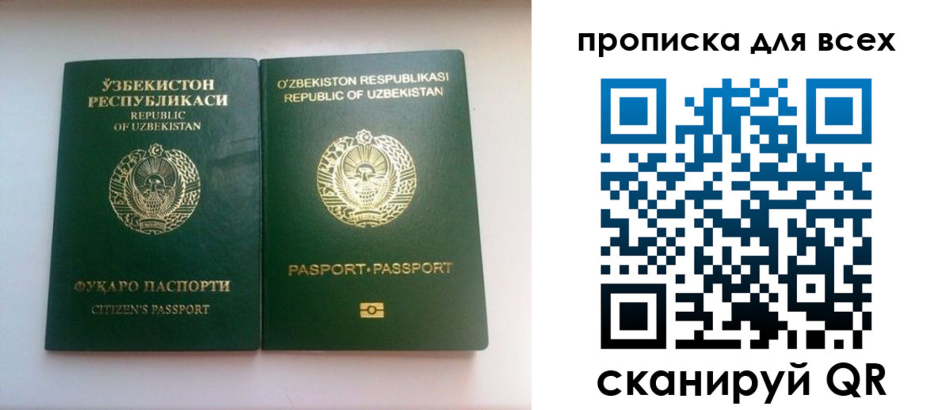 прописка для школы в Чайковском